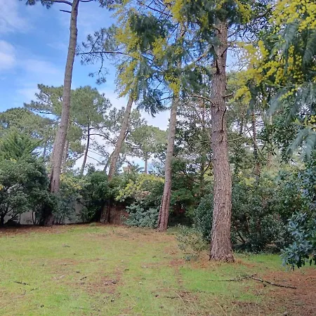 Сasa de vacaciones Familiale Bord De Pour 6 A 10 Personnes
